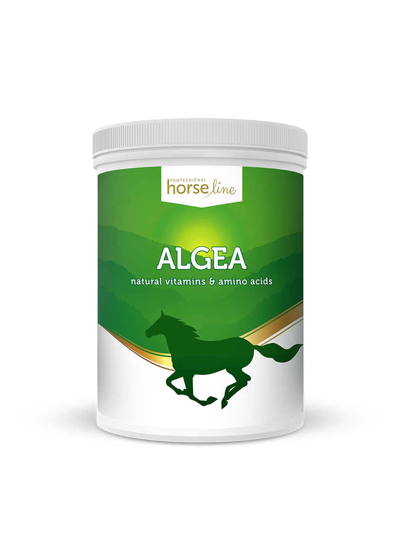 Algea - naturalne źródło jodu,  poprawa kondycji skóry i sierści u koni