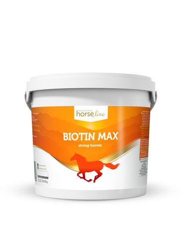 BiotinMax 3000g