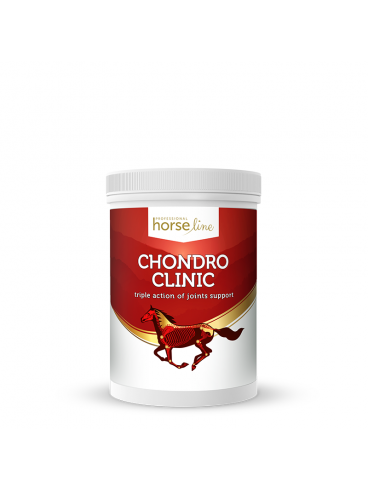 ChondroClinic 690g