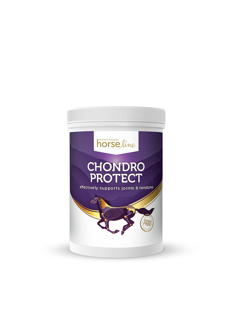 ChondroProtect 900g