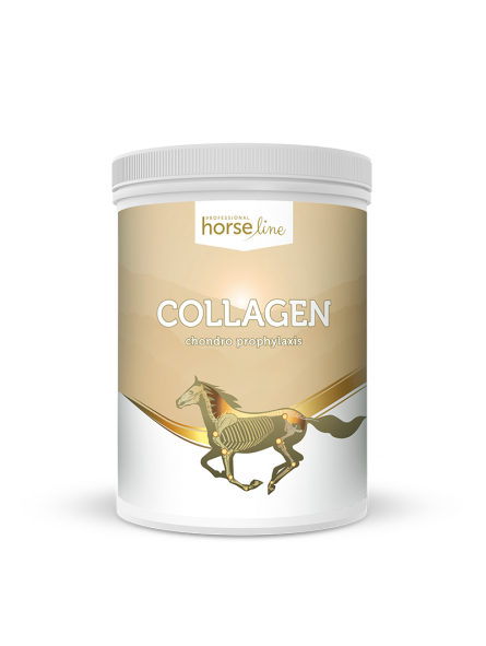 Collagen 800g