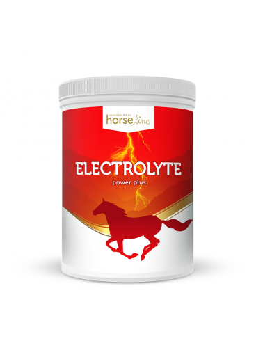 Electrolyte PowerPlus 1500g