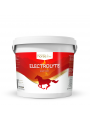 Electrolyte PowerPlus 3000g