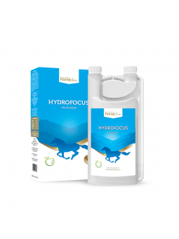 HydroFocus Electrolyte 1000ml
