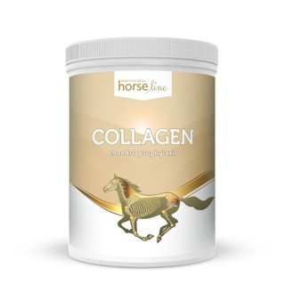 Kolagen dla koni