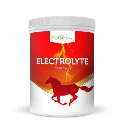 elektrolity dla konia