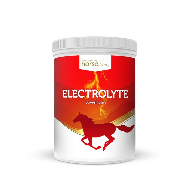 elektrolity dla konia