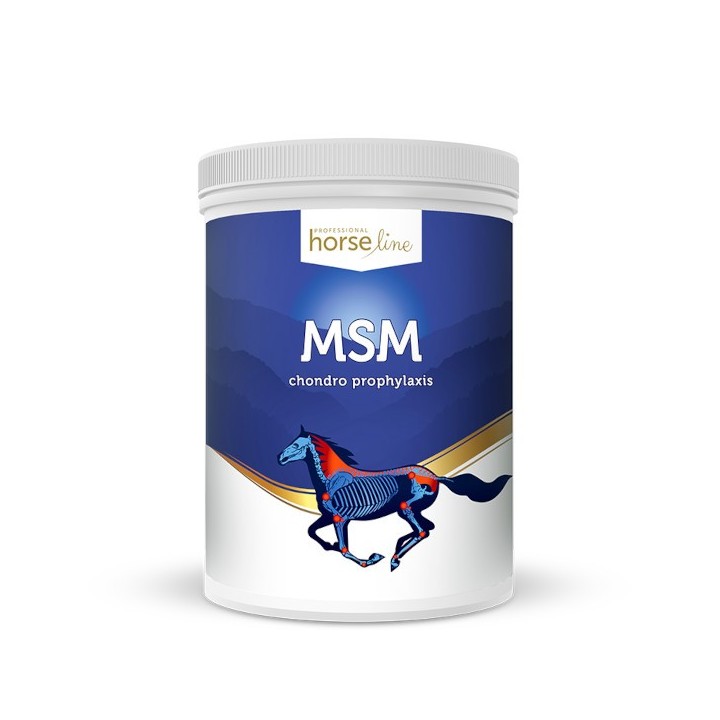 msm 1300 g