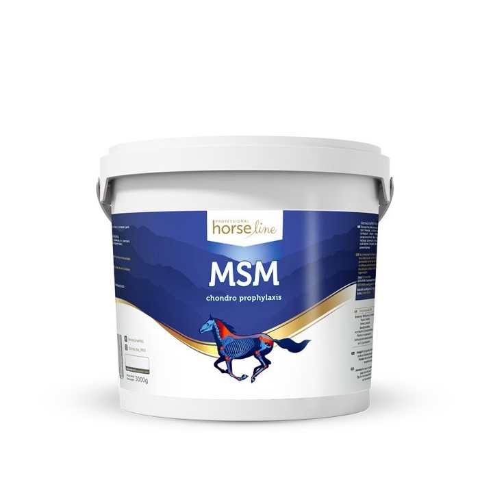 MSM 3000g