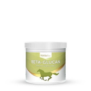 Beta glukan dla koni
