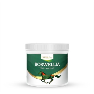Boswellia dla koni