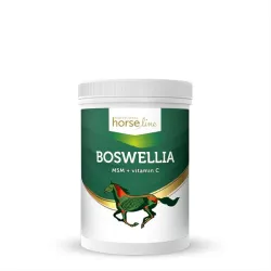 boswellia msm i witamina c dla koni