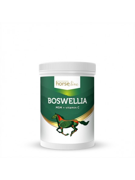 boswellia msm i witamina c dla koni