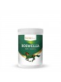 boswellia msm i witamina c dla koni