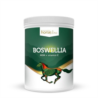 Boswellia dla koni