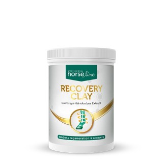 Glinka regeneracyjna dla koni – Recovery Clay 1000g