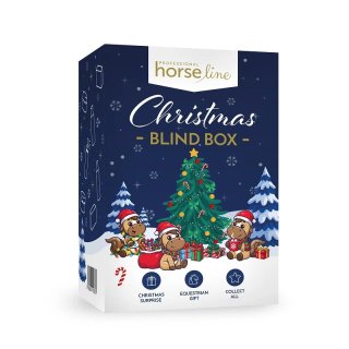 Christmas Blind Box