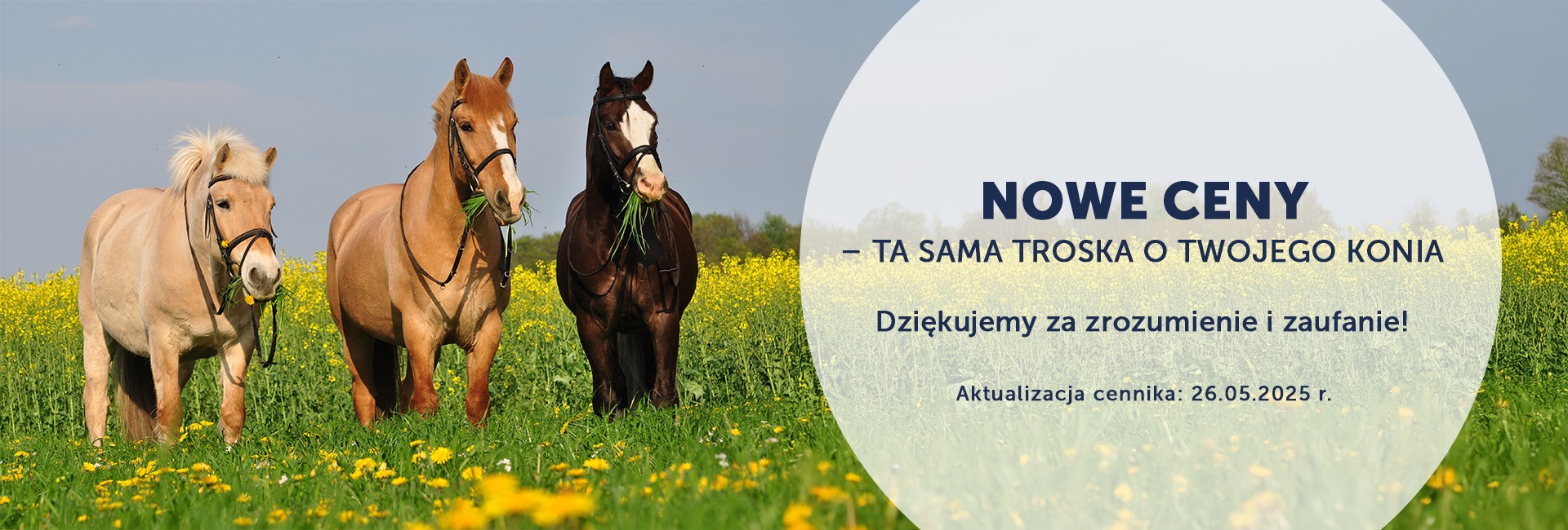 Zmiana cen maj 2025 r.
