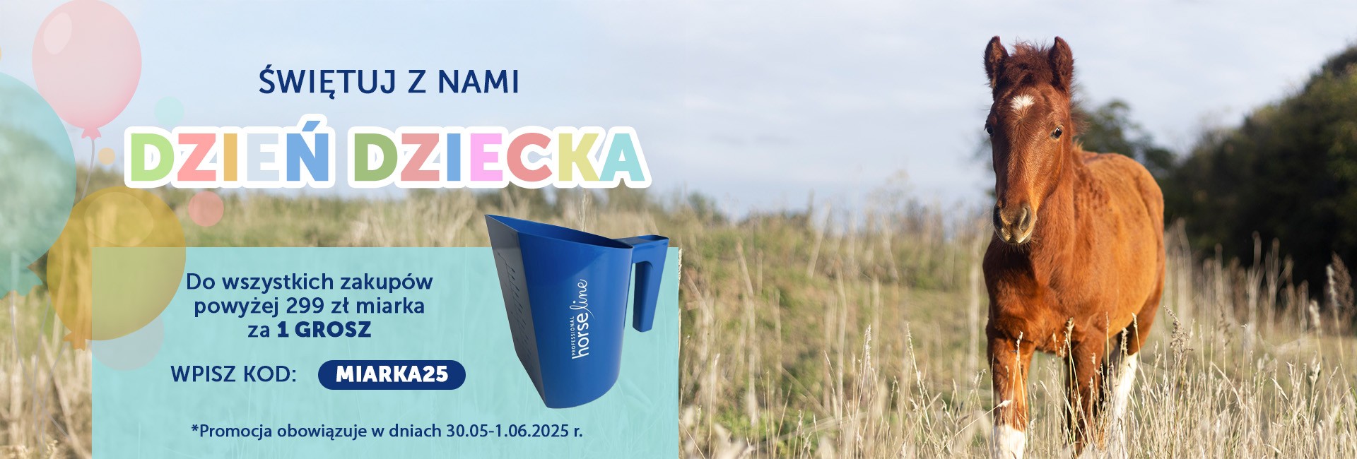 Dzień dziecka -2025 miarka
