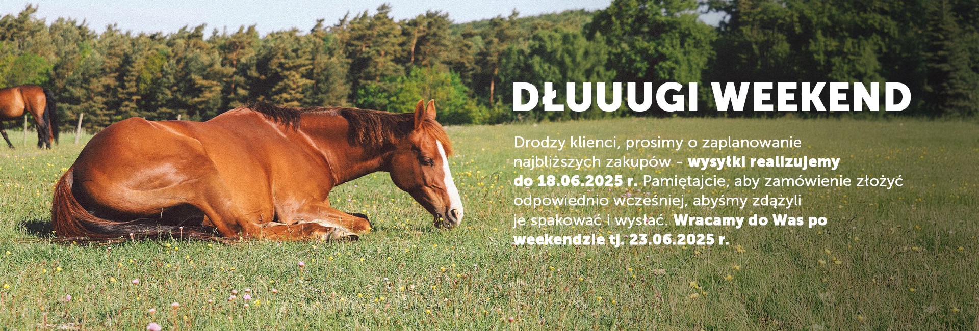 Przerwa w dostawie - Boże Ciało