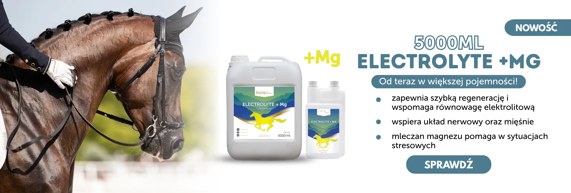 Electrolyte+Mg